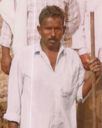 Razu