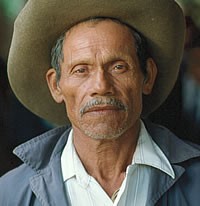 Panamanian, Mestizo