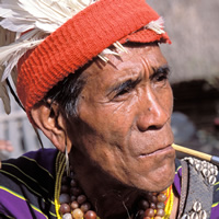  Zophei