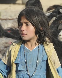 Kuchi Afghan refugee