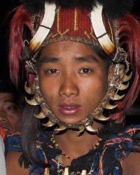Yangno