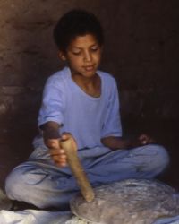 Bedouin, Chaamba
